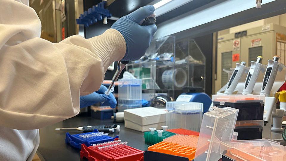 A gloved researcher pipetting liquid samples at a lab bench with sample tubes and racks.