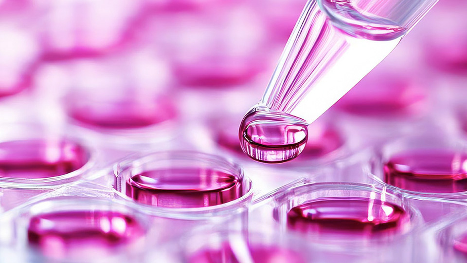 Close-up image of a pipette releasing a droplet of pink liquid into a clear multiwell plate, representing laboratory research in drug design, formulation, and delivery systems.